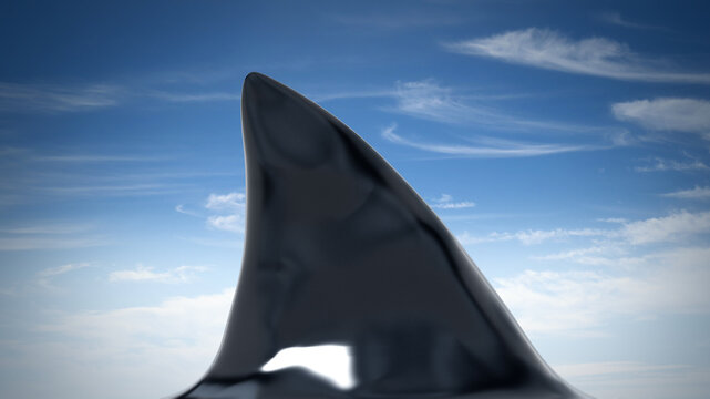Shark fin isolated on white background. 3D illustration