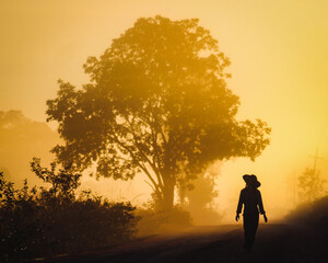 Fototapeta na wymiar Amanhecer no Pantanal mato-grossense: Silhueta de pessoa não identificada com chapeu caminhando na estrada transpantaneira em um amanhecer com neblina