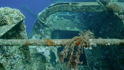 Deck grown with corals of ferry Salem Express shipwreck on blue water background, Red sea, Safaga, Egypt © Andriy Nekrasov