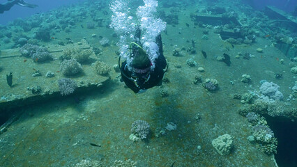 Scuba diver swim above board with windows overgrown with corals on ferry Salem Express shipwreck, Red sea, Safaga, Egypt © Andriy Nekrasov