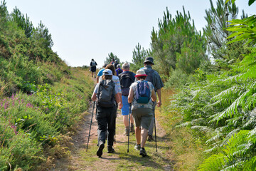Groupe de randonneurs seniors dans la forêt de Penhoat au-dessus du Trieux - Bretagne France