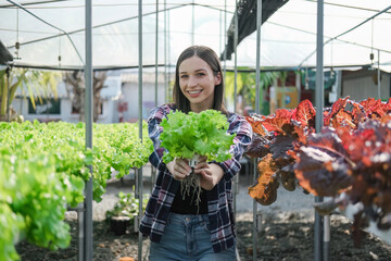 young farmer female smiling and holding mobile smart tablet with hydroponic fresh green vegetables produce in greenhouse garden nursery farm, smart farming, agriculture business concept