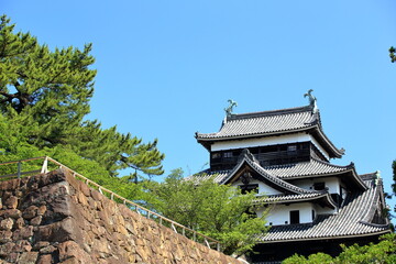 新緑が美しい島根県松江市の国宝松江城