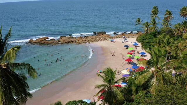 Aerial drone landscape shot of the famous tourist destination Coqueirinhos beach in Paraiba, Brazil surrounded by palm trees with people swimming and enjoying the shade under colorful umbrellas