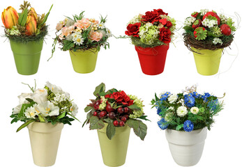 Flower plants in pots with transparent background