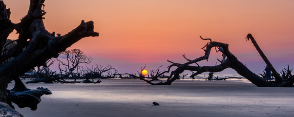 sunset with sun low over the horizon on a beach with dead trees and driftwood