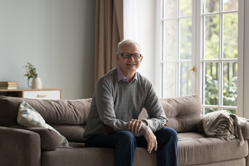 Satisfied smiling senior man wear eyeglasses staring at camera. Portrait of happy, healthy and wellbeing pensioner, single mature male resting alone seated on couch posing for cam. Carefree retirement