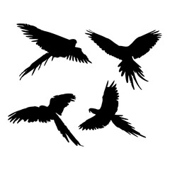 Naklejka premium Vector illustration of black bird silhouette. Isolated white background.