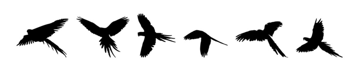Vector illustration of black bird silhouette. Isolated white background.