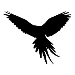 Vector illustration of black bird silhouette. Isolated white background.