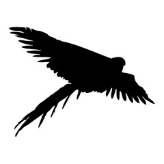 Vector illustration of black bird silhouette. Isolated white background.