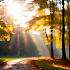 Naklejka na ściany i meble serene autumn landscape with road, trees and sunlight, blur effect