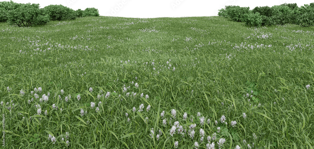 Fototapete realistic grass field with bushes. 3d rendering of isolated objects.