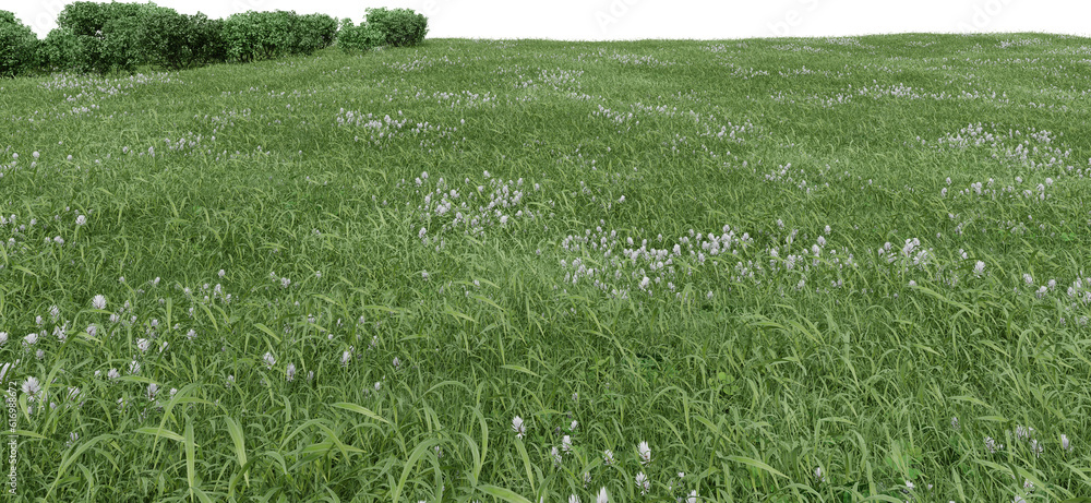 Fototapete realistic grass field with bushes. 3d rendering of isolated objects.