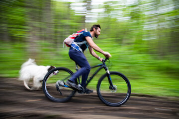 man on a mountain bike in the forest
