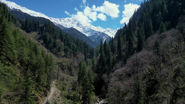 Parvati Valley by drone - Beautiful landscape of the Indian Himalayan Mountains - Pine trees with snowy mountain in the background - Himachal Pradesh - India