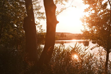 Sonnenuntergang am See mit Schilf und Bäume