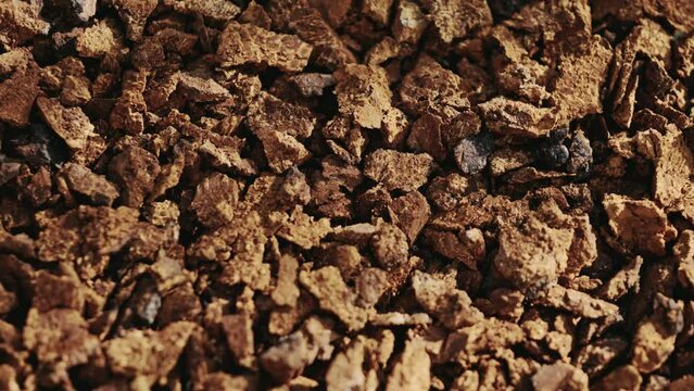 Pieces of chaga mushroom - superfood. Top down view. Static