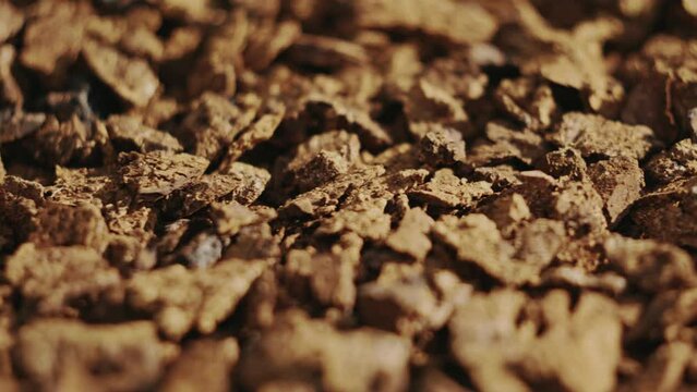 Pieces of Chaga mushrooms lit by sunshine, close up view