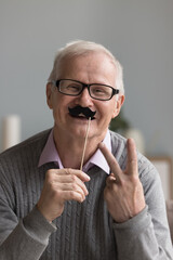 Vertical portrait carefree senior man having fun hold party accessory, celebrate life event or anniversary look at cam, advertises lenses and eyewear store, professional check up services of eyesight