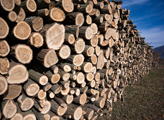 Pile of chopped fire wood, prepared for winter