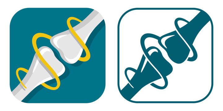 Bone Health flat square icon