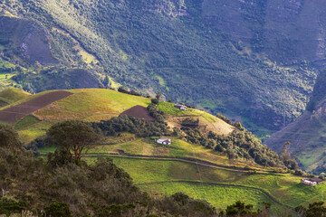 Green hills in Colombia