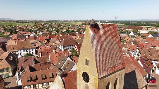 Aerial Drone Shot of Storks in Eguisheim village in the Alsace province, France. Picturesque village in Sunny Summer Day