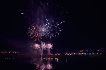 Fireworks over a park in the night sky, happy new year, year 2023-2024, new year 2023/24, badajoz, spain 