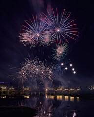 Fireworks over a park in the night sky, happy new year, year 2023-2024, new year 2023/24, badajoz, spain 