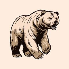 wild bear walking illustration, wild animal 