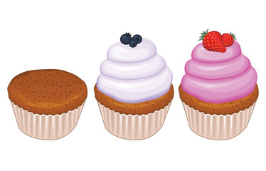 Set of cupcakes freshly bakery illustration bakery or cafe menu food illustration