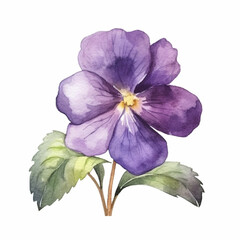 Violet bloom portrayed in a charming watercolor image