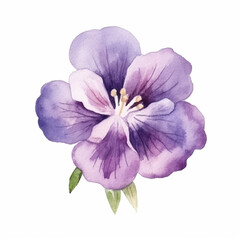 Captivating watercolor illustration featuring the grace of a violet