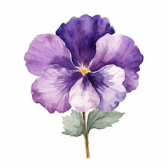 Intricate watercolor depiction of a violet in full bloom