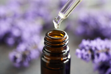 Dropping lavender essential oil into a brown glass bottle - obrazy, fototapety, plakaty