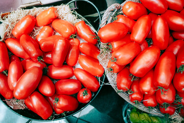 Plum tomatoes sold on an open-air green market
