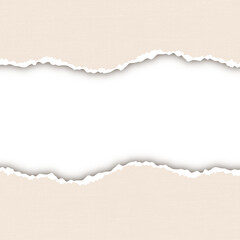 Blank brown torn paper background