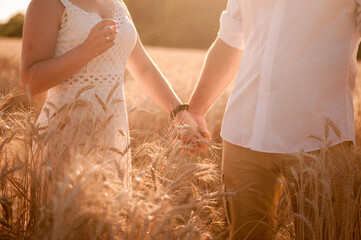 The family walks in the wheat field in the summer