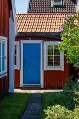 Rustic Swedish red paint cottage with white trims and a bright blue door at the end of a small summer garden in the Stockholm archipelago around midsummer
