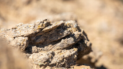 bio habitat in the rocks of mountains