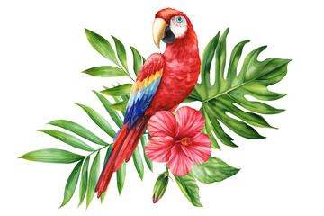 Beautiful tropical bird. Macaw red parrot, flowers and leaf in isolated background. Watercolor illustration hand drawing © Hanna
