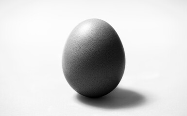 Egg - isolated on white background