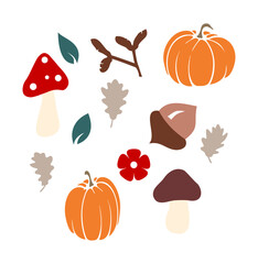 Autumn elements, vector illustration. Cartoon mushrooms, pumpkin, acorn, oak leaf