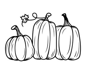 Row pumpkin outline, vector illustration. Autumn design