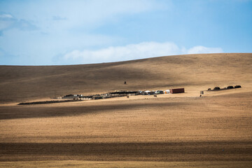 Obraz premium Nature Landscape on Highway road in Central Mongolia, the road trip from Hustai National Park to Ulaanbaatar