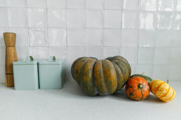 Pumpkins and utensils on modern kitchen. Autumn harvest and pumpkin recipes. Fall squashes on granite countertop close up. Space for text. Thanksgiving