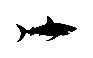 Silhouette of shark shape isolated illustration with black and white style for template.