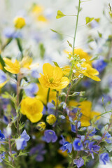 Bouquet with yellow and blue flowers