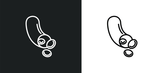 blood vessel line icon in white and black colors. blood vessel flat vector icon from blood vessel collection for web, mobile apps and ui.